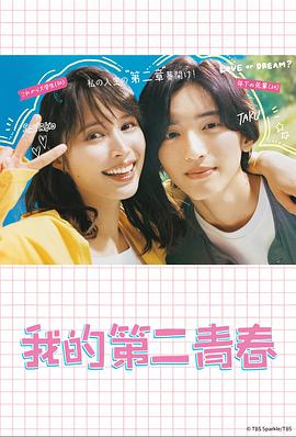 梅州seo优化批发